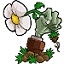 Top jogos de plataforma criados pelo Maple Byte